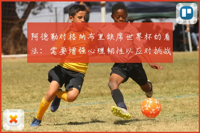 阿德勒对格纳布里缺席世界杯的看法：需要增强心理韧性以应对挑战