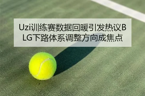 Uzi训练赛数据回暖引发热议BLG下路体系调整方向成焦点